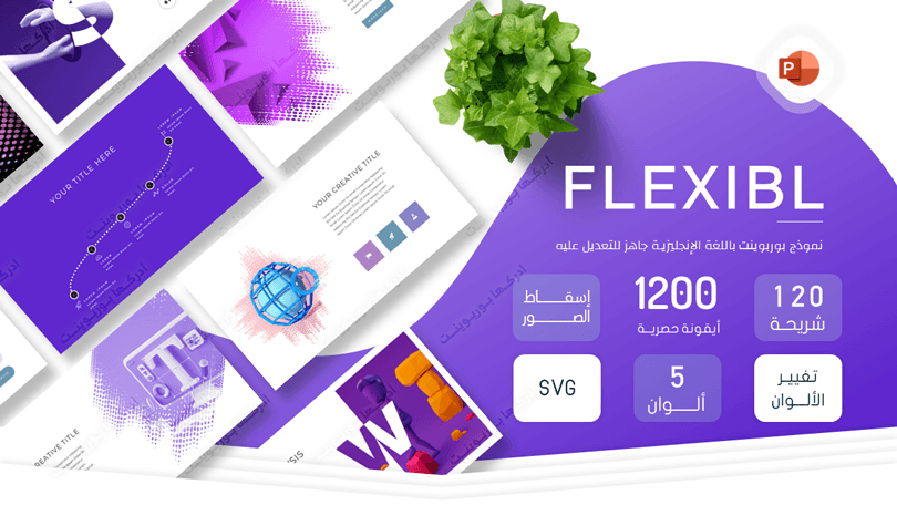 FLEXIBL - أكثر من 100 شريحة بوربوينت انجليزية