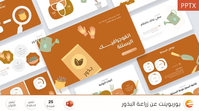بذور - قالب بوربوينت جاهز لشرح طريقة زراعة الحبوب
